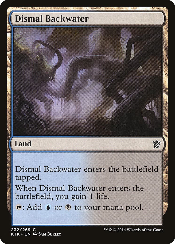Dismal Backwater - Image 1