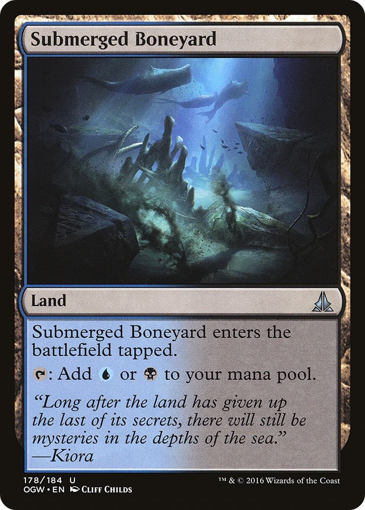 Submerged Boneyard - Image 1