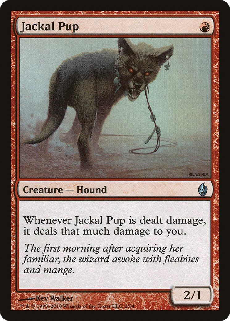 Jackal Pup - Image 1