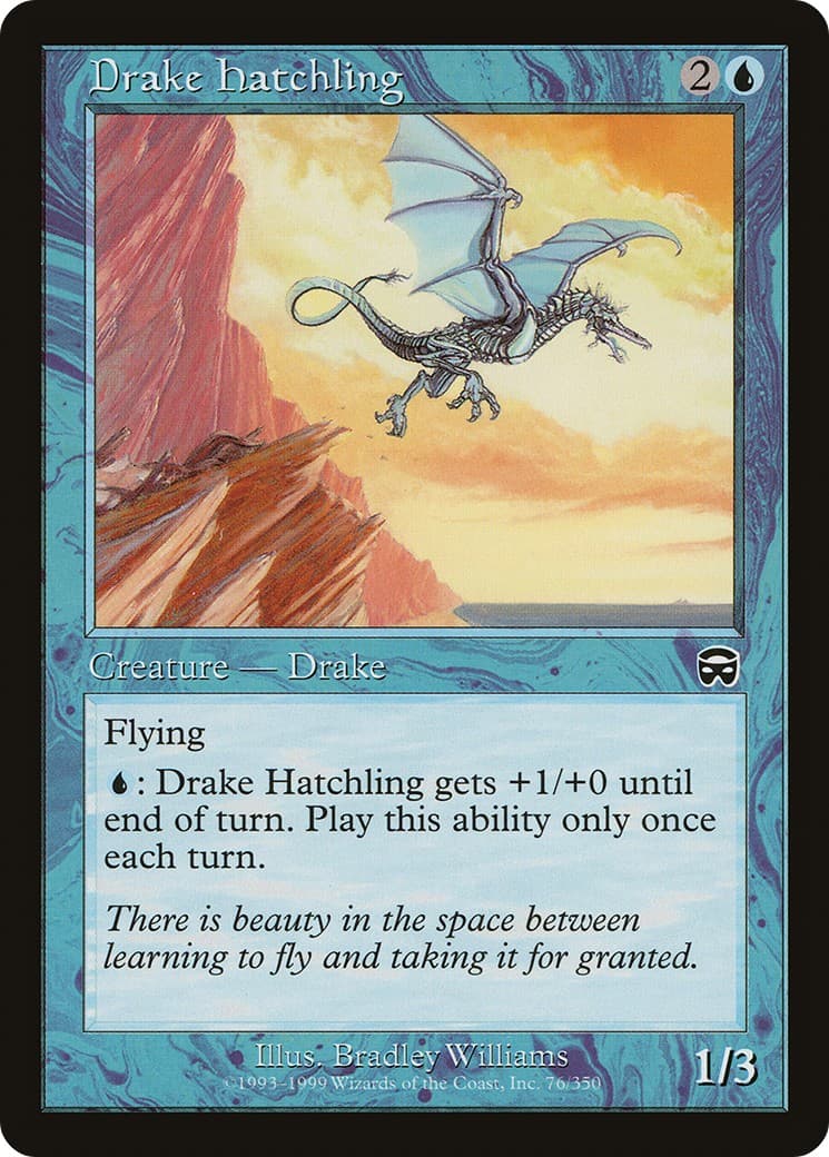Drake Hatchling - Image 1
