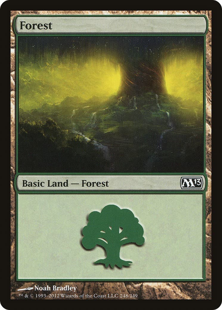 Forest - Image 1