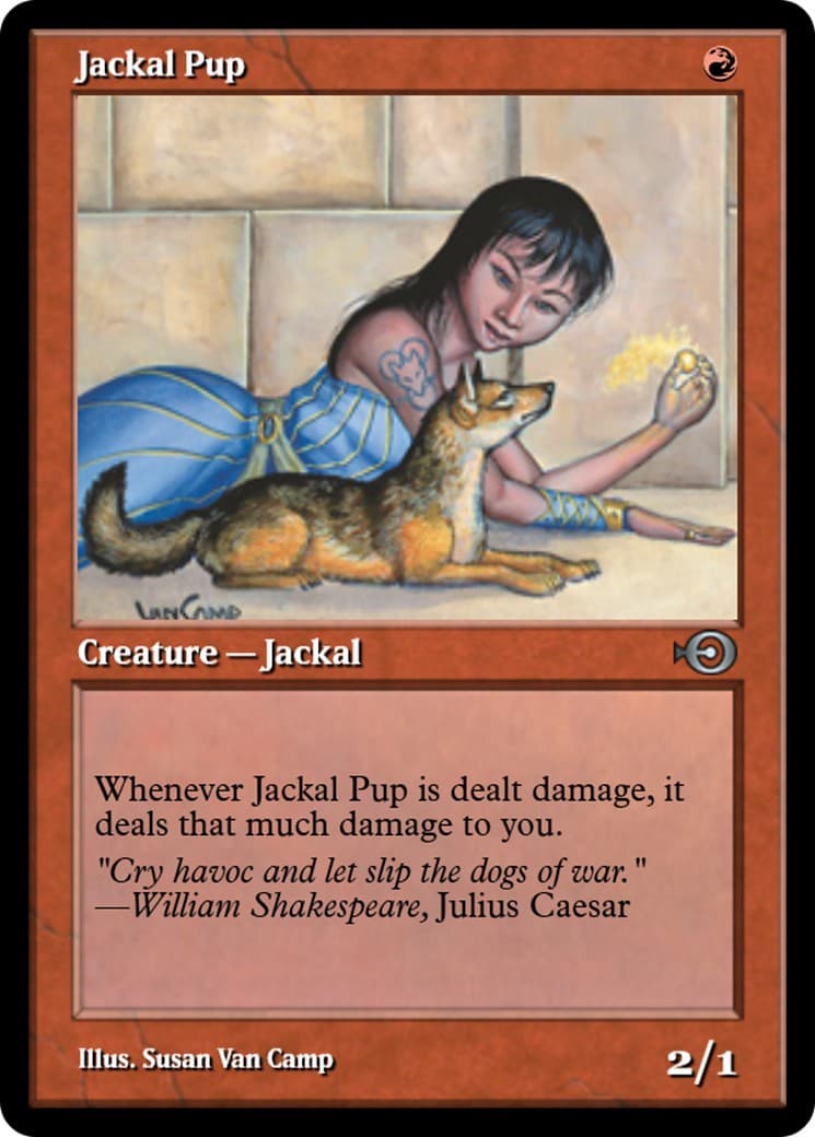 Jackal Pup - Image 1