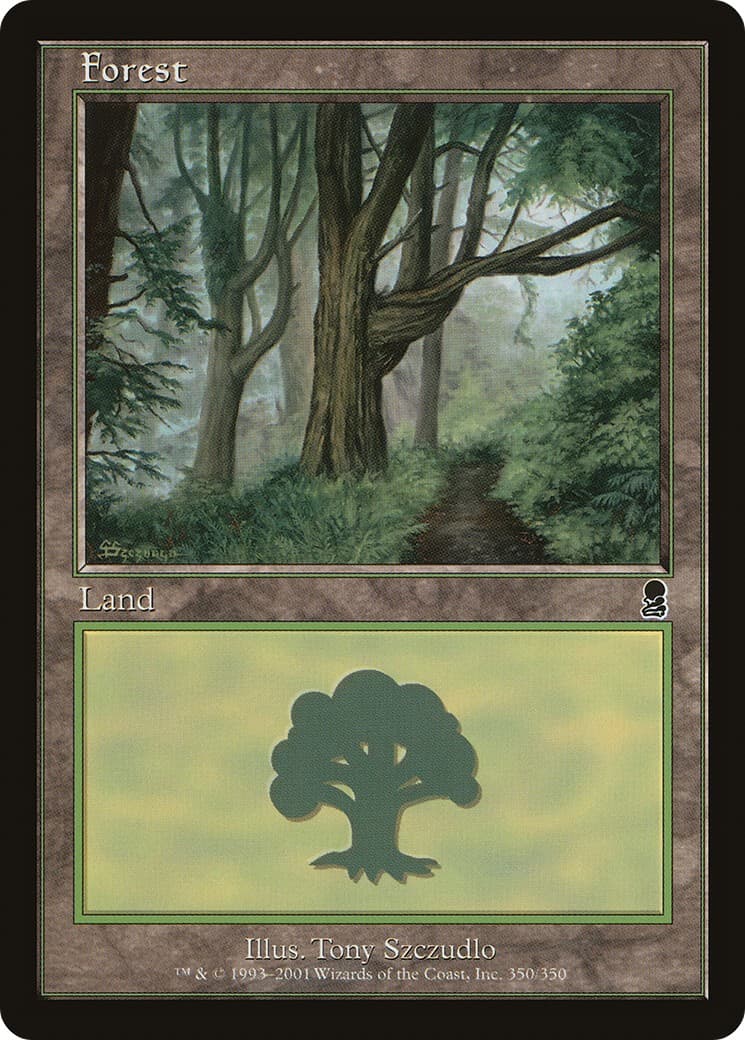 Forest - Image 1