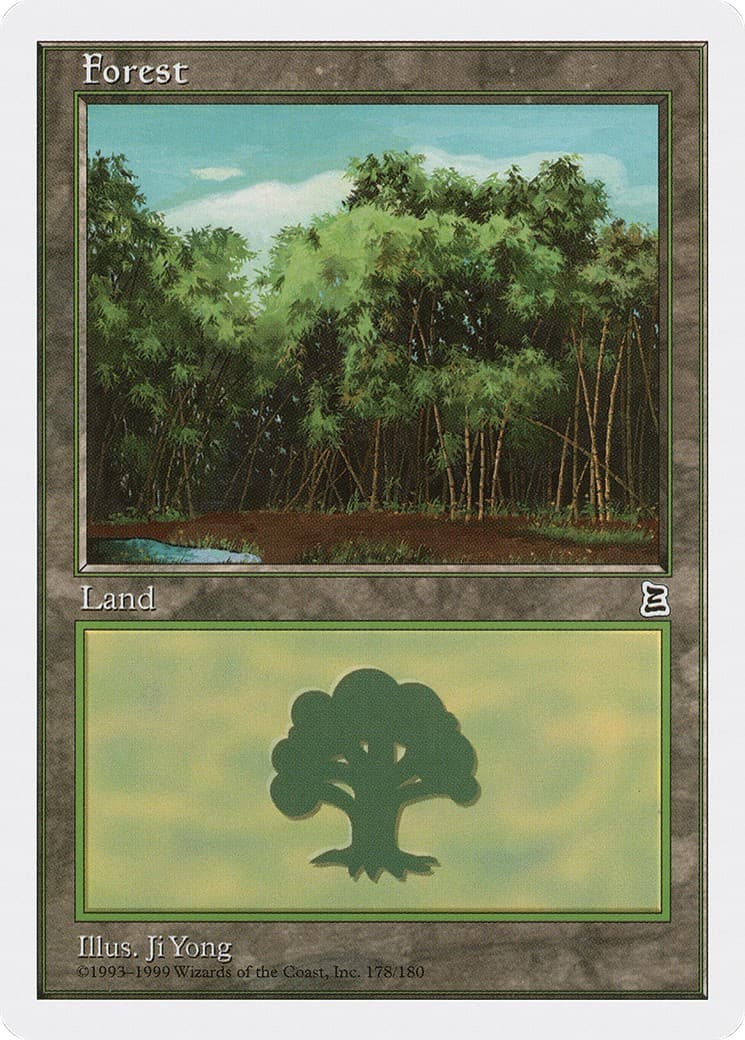 Forest - Image 1