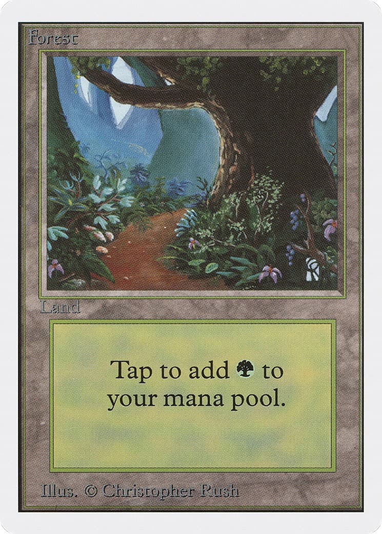 Forest - Image 1