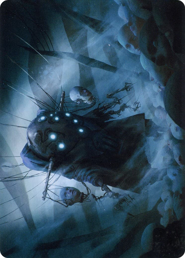 Meldweb Curator // Meldweb Curator - Image 1