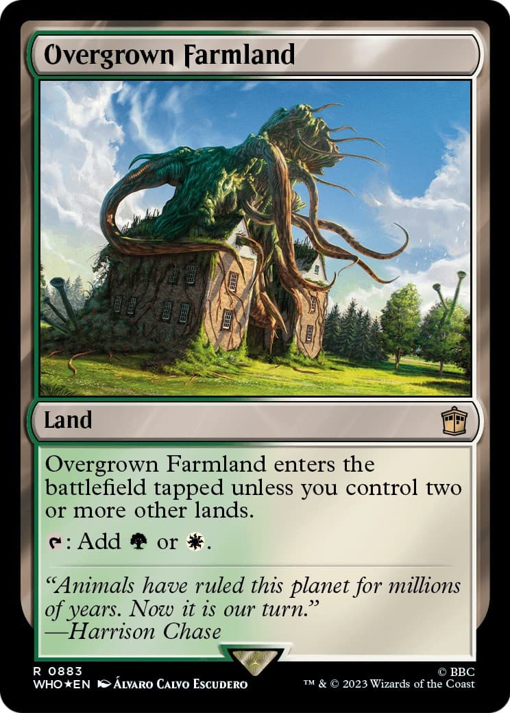 Overgrown Farmland - Image 1
