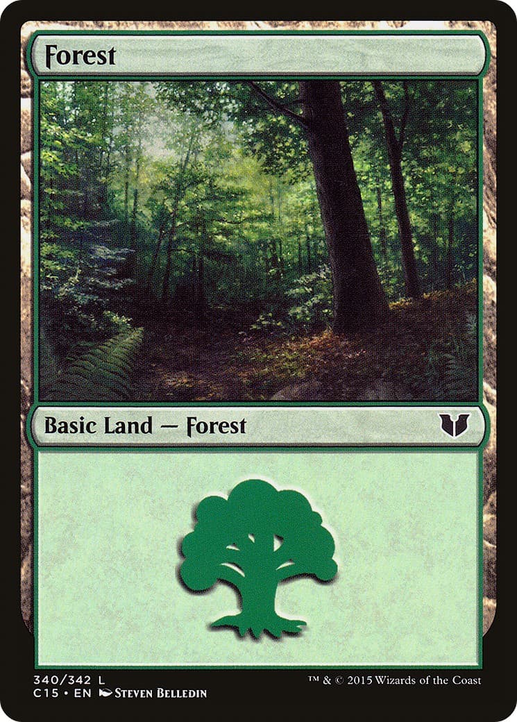Forest - Image 1