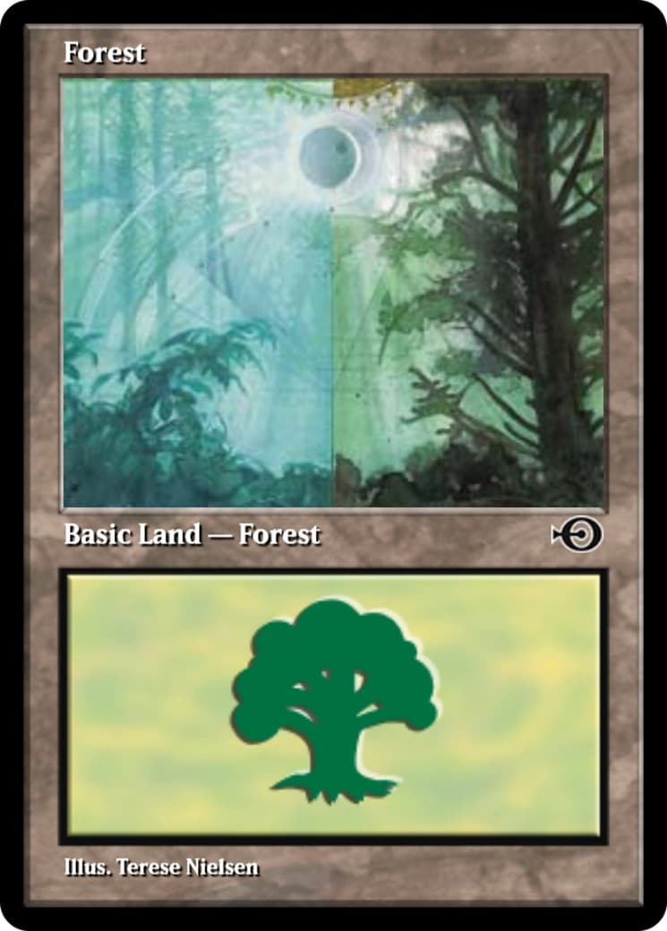 Forest - Image 1