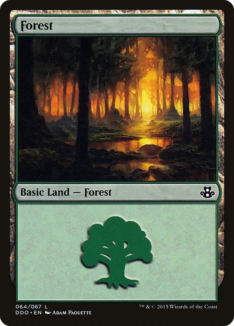 Forest - Image 1