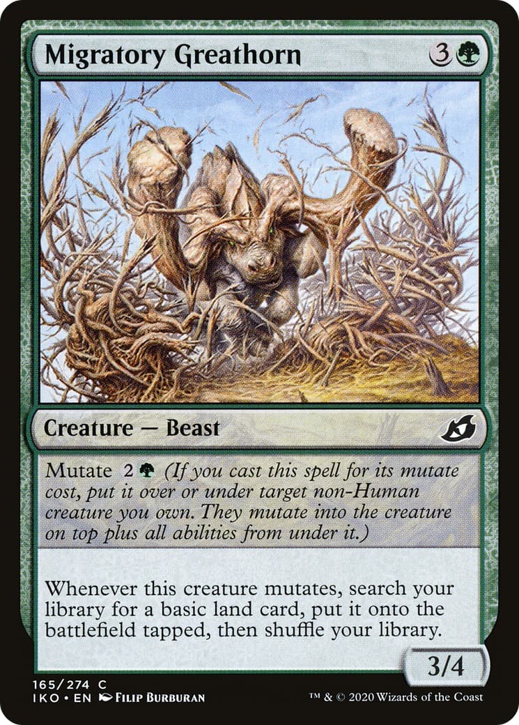 Migratory Greathorn - Image 1