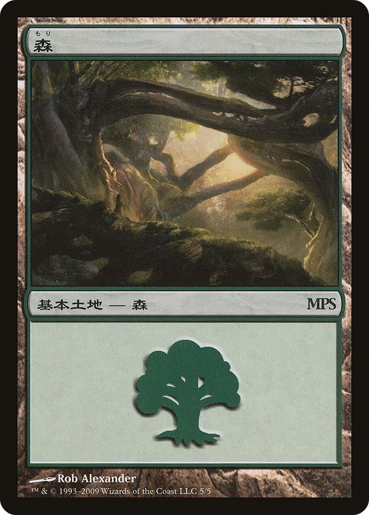 Forest - Image 1