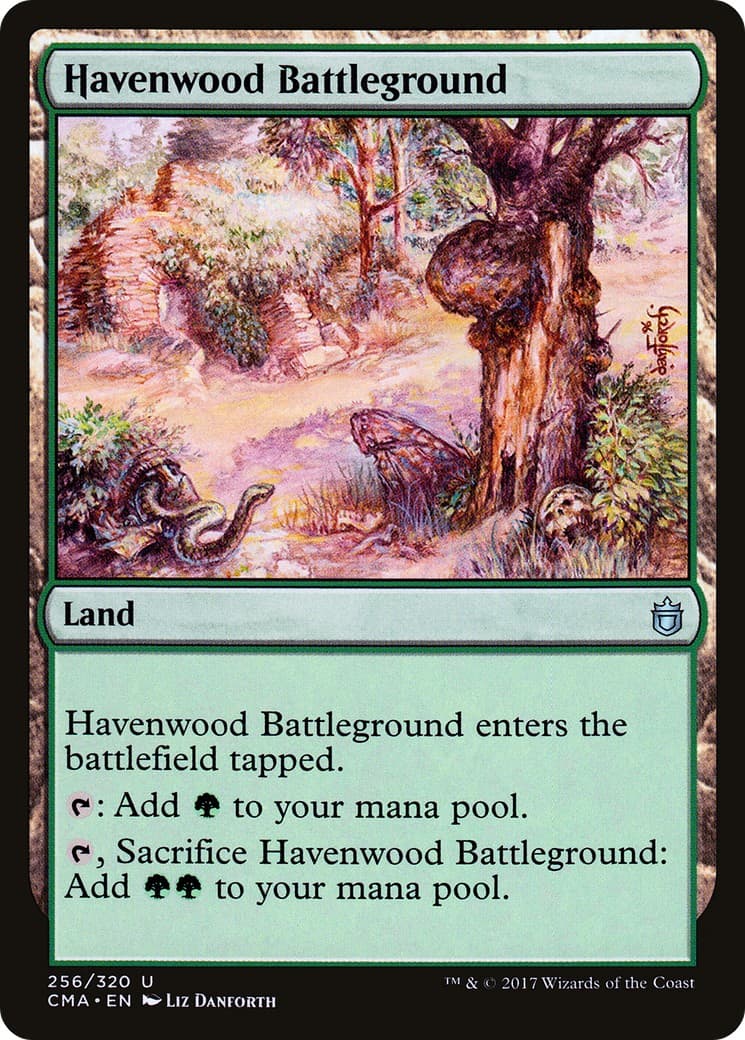 Havenwood Battleground - Image 1