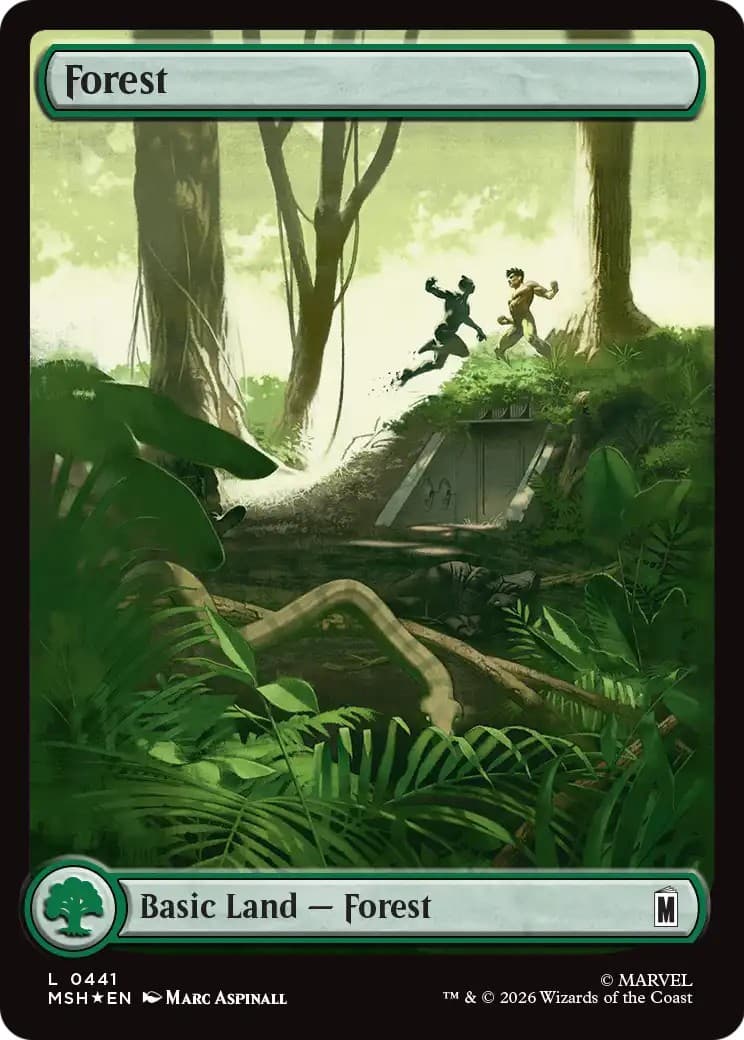 Forest - Image 1