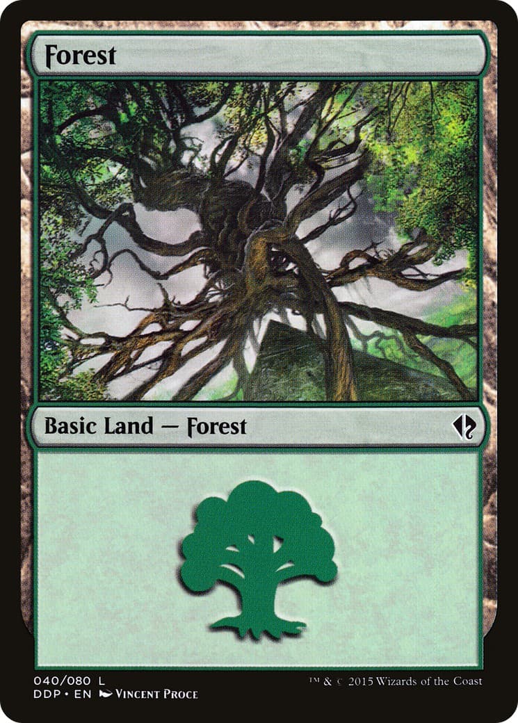 Forest - Image 1