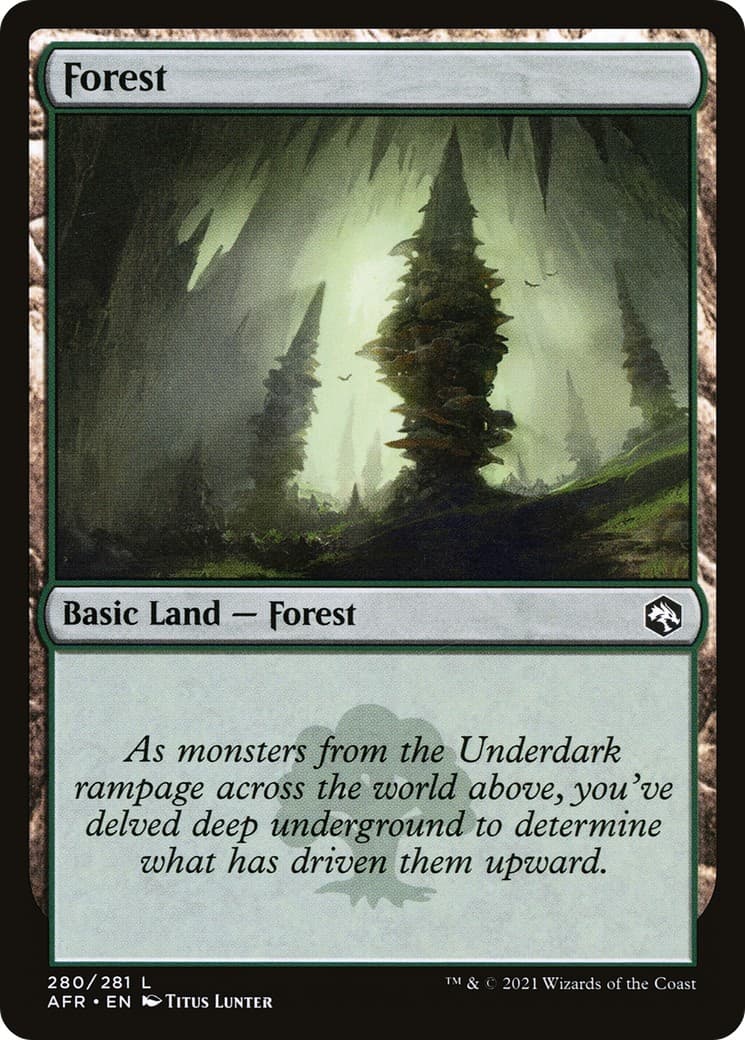 Forest - Image 1