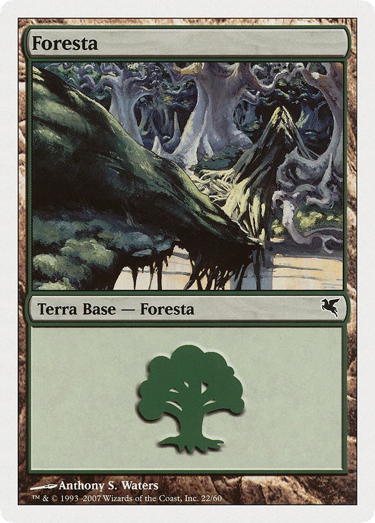 Forest - Image 1