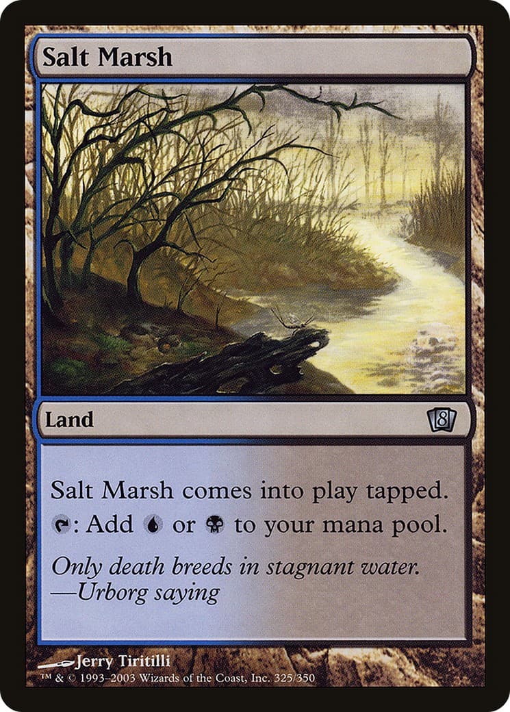 Salt Marsh - Image 1