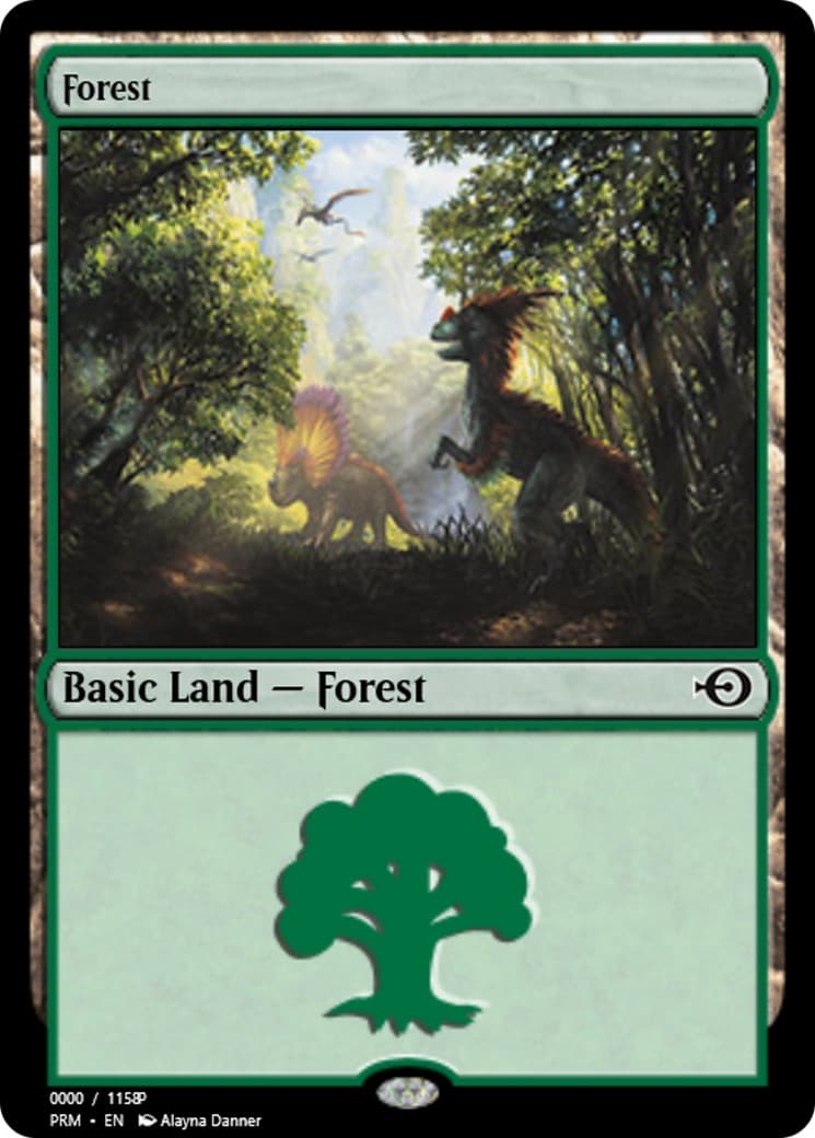 Forest - Image 1