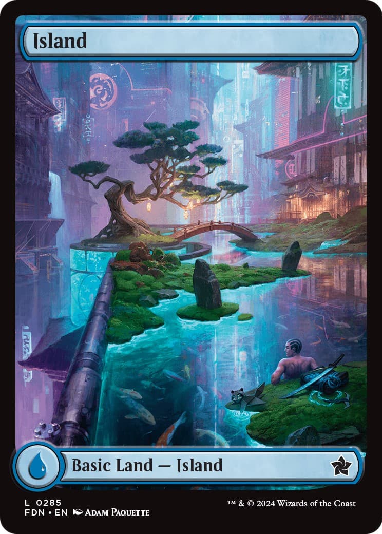 Island - Image 1