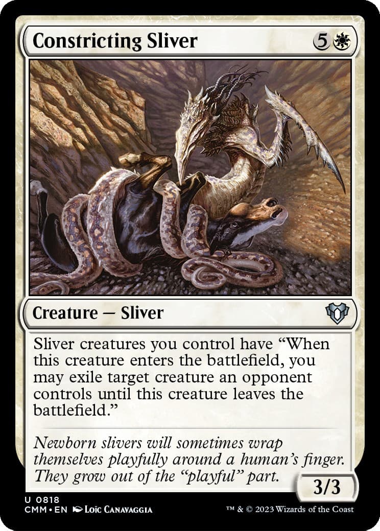 Constricting Sliver - Image 1