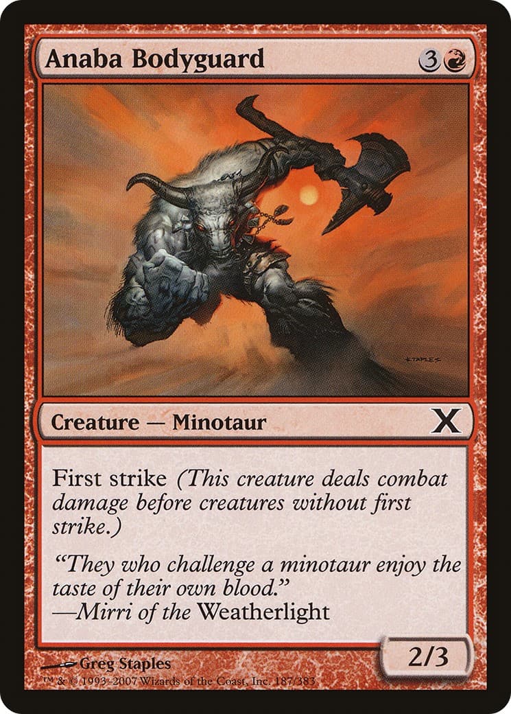 Anaba Bodyguard - Image 1