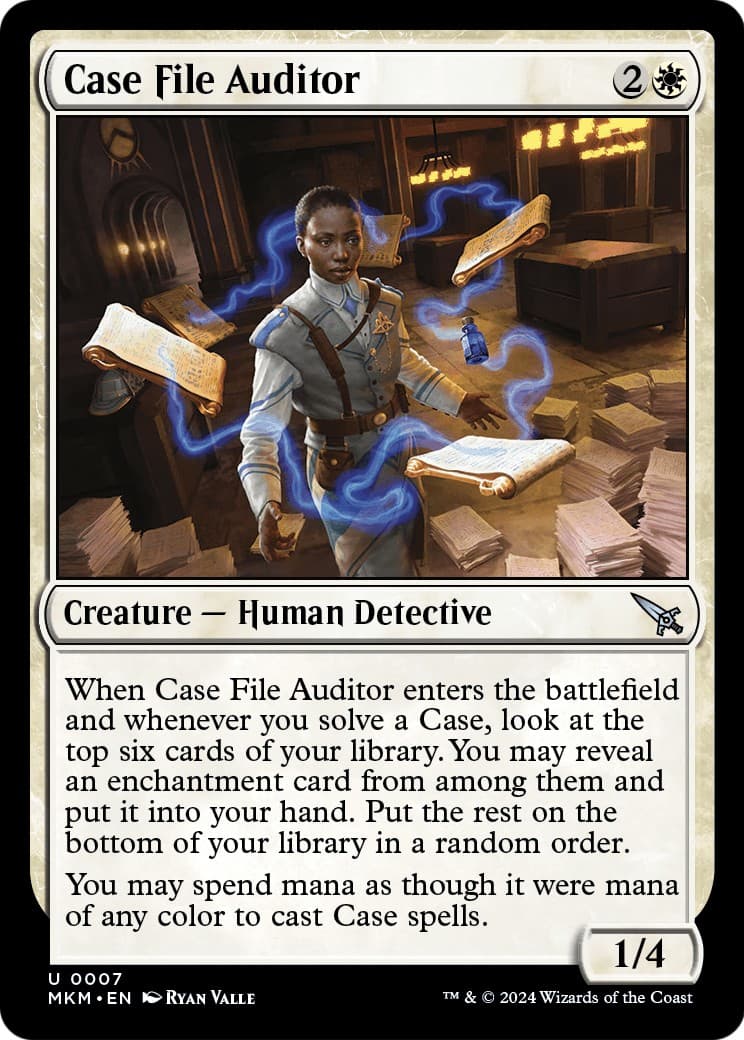 Case File Auditor - Image 1