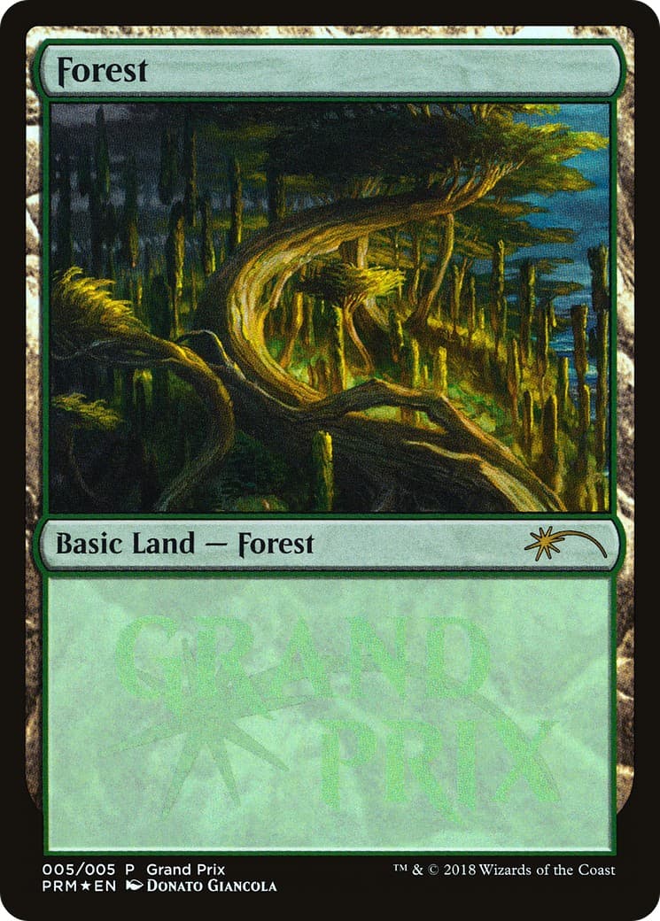 Forest - Image 1