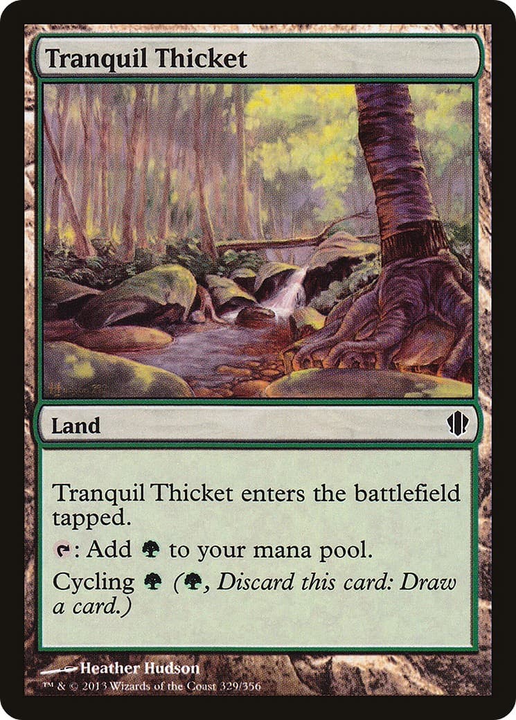 Tranquil Thicket - Image 1