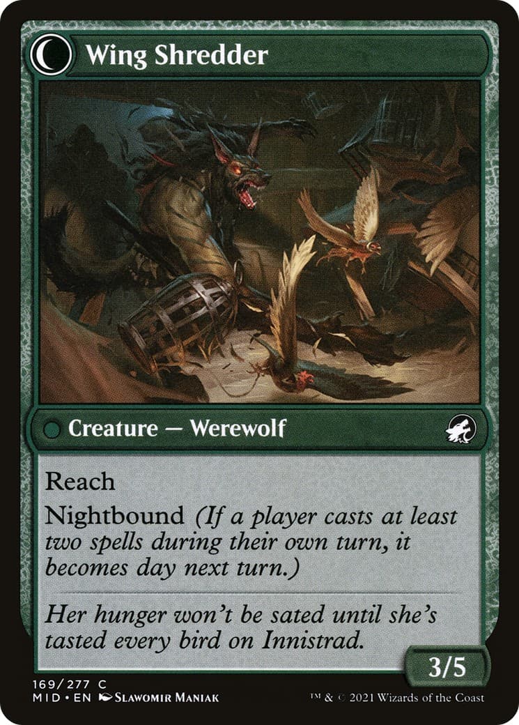 Bird Admirer // Wing Shredder thumbnail 2