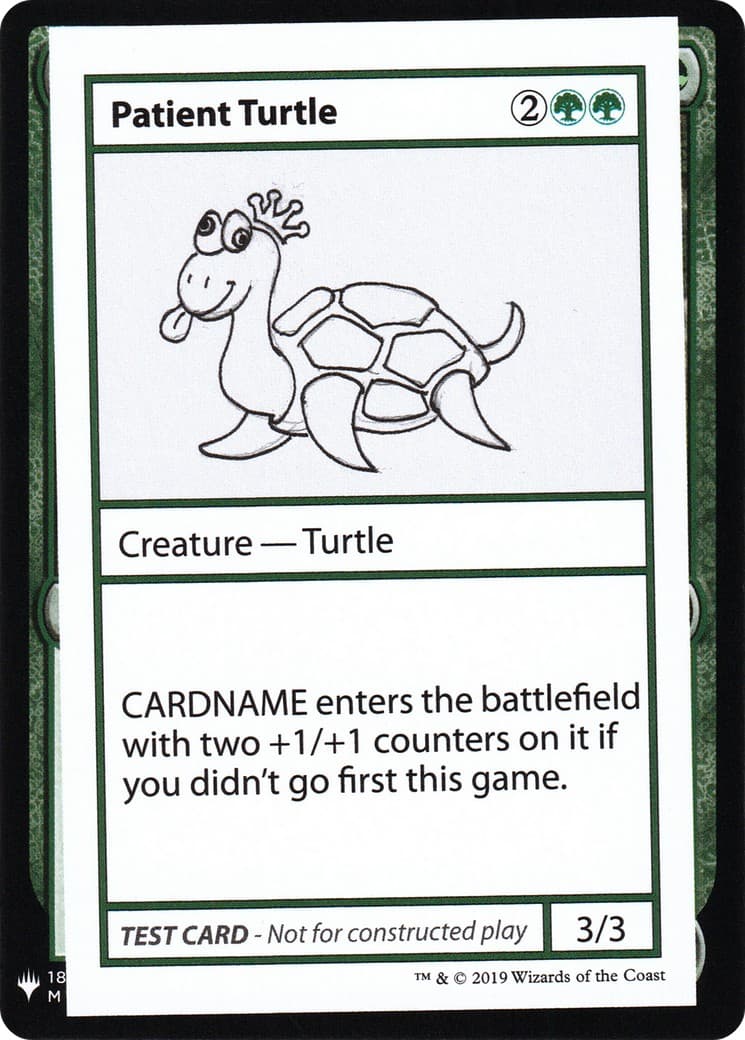 Patient Turtle - Image 1