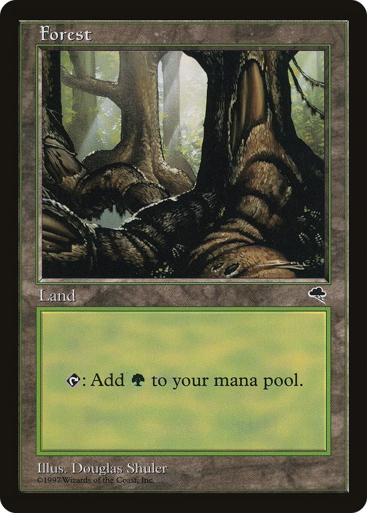 Forest - Image 1