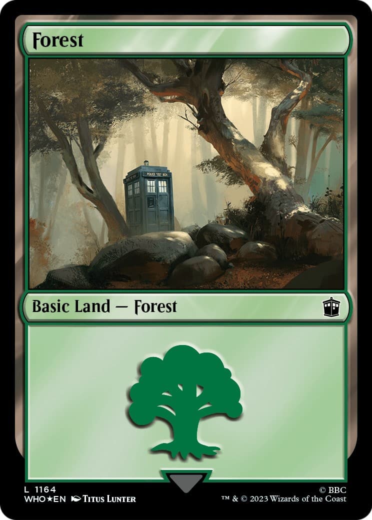 Forest - Image 1