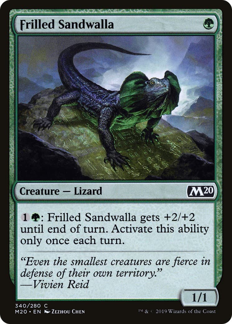 Frilled Sandwalla - Image 1
