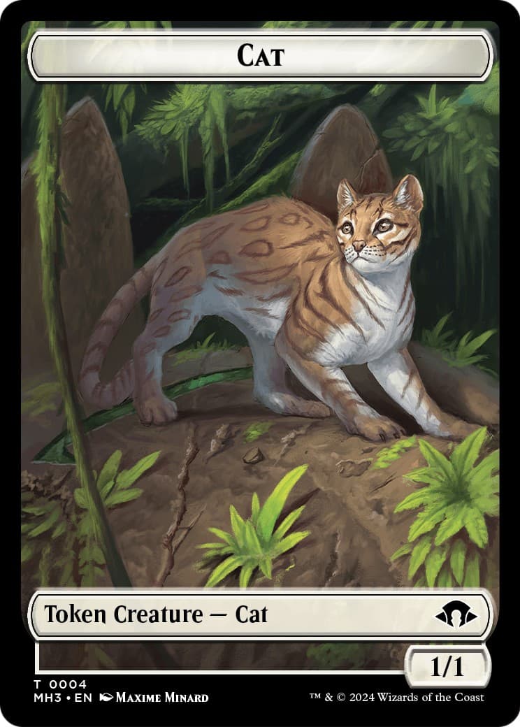 Cat - Image 1