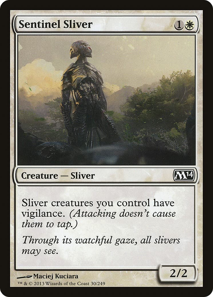 Sentinel Sliver - Image 1