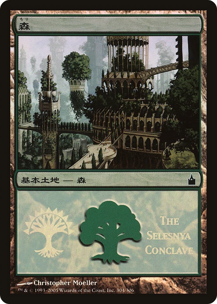 Forest - Image 1