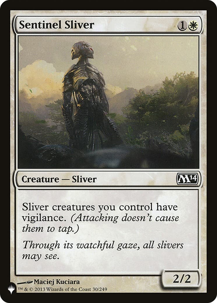 Sentinel Sliver - Image 1