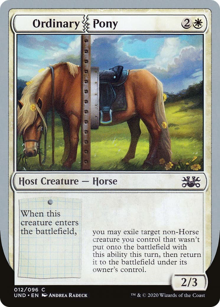 Ordinary Pony - Image 1