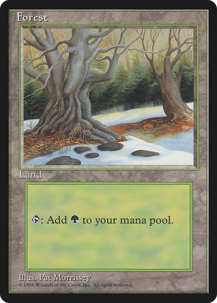 Forest - Image 1