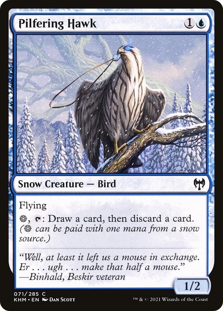 Pilfering Hawk - Image 1