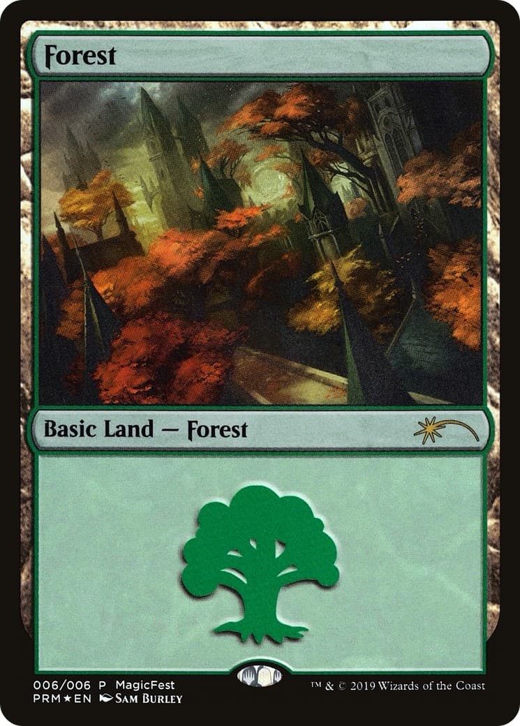 Forest - Image 1