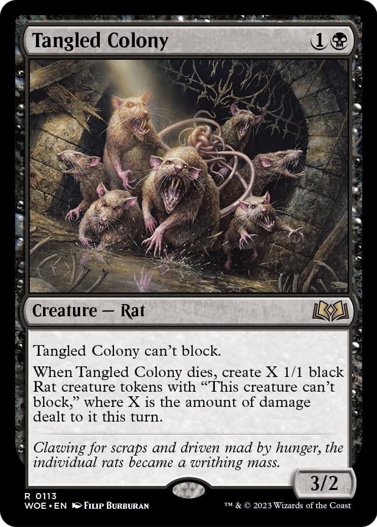 Tangled Colony - Image 1