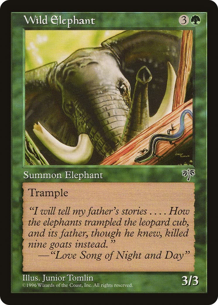 Wild Elephant - Image 1