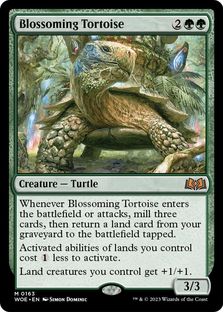 Blossoming Tortoise - Image 1