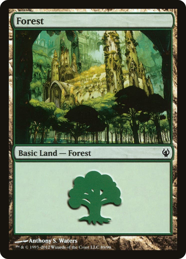 Forest - Image 1