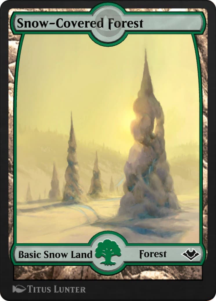 Snow-Covered Forest - Image 1
