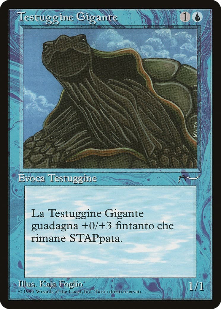 Giant Tortoise - Image 1