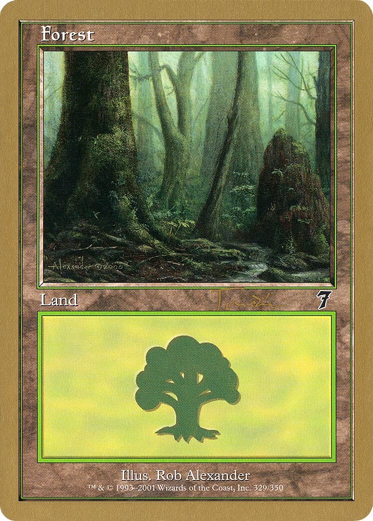 Forest - Image 1