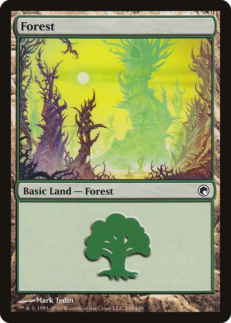 Forest - Image 1